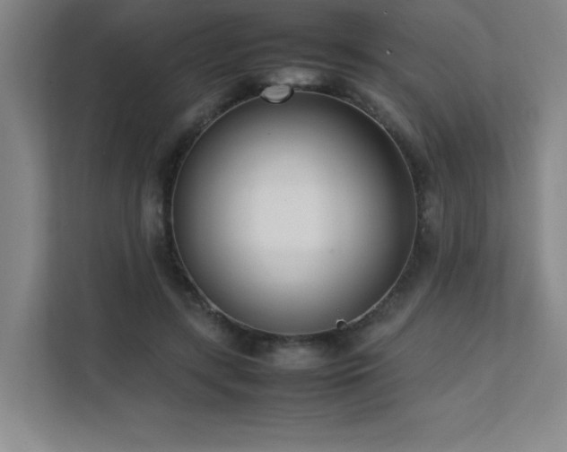 X0000111390547200907101149