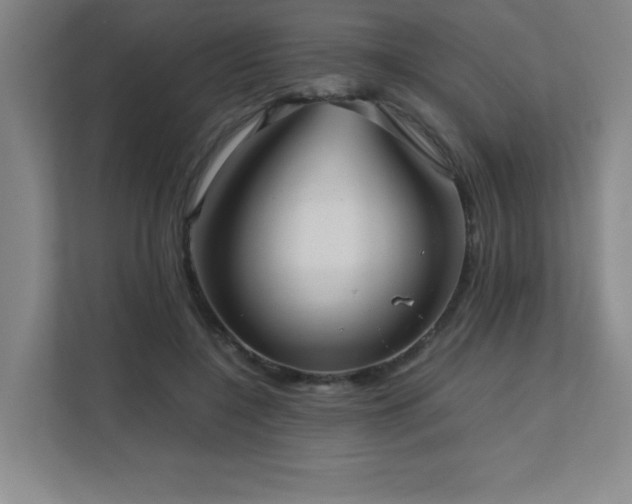 X0000111390548200907101149