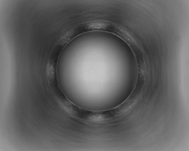 X0000111390551200907101149