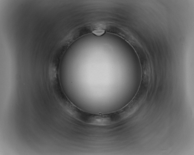 X0000111390555200907101149