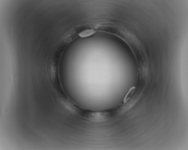 X0000111390558200907101149