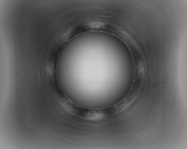 X0000111390559200907101149