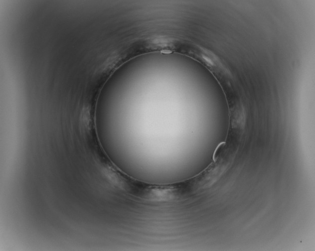 X0000111390560200907101149