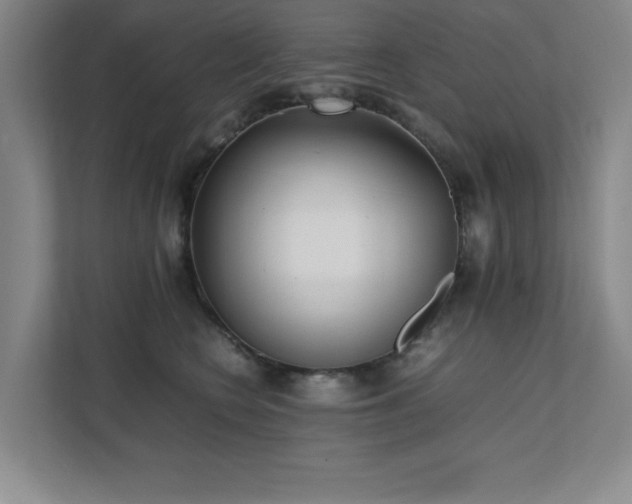 X0000111390566200907101149