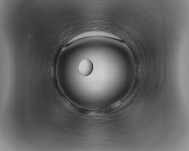 X0000111390568200907101149