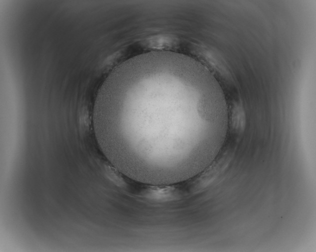 X0000111390569200907101149