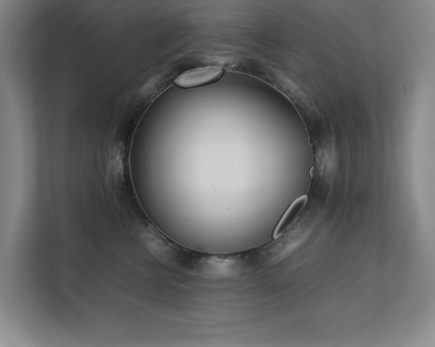 X0000111390570200907101149