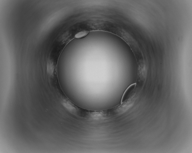 X0000111390574200907101149