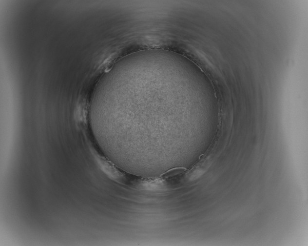 X0000111390576200907101149