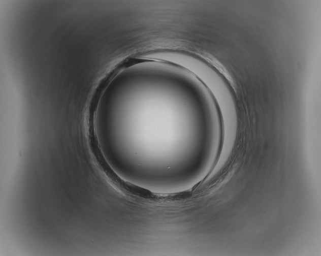 X0000111390581200907101148