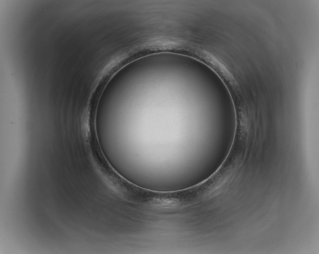 X0000111390582200907101148