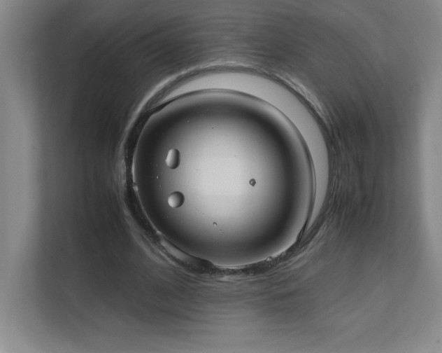 X0000111390584200907101148