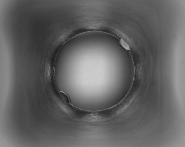 X0000111390589200907101148