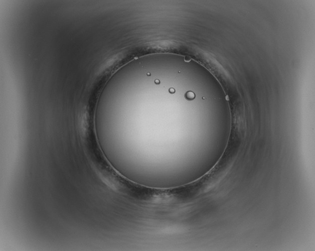 X0000111390591200907101148