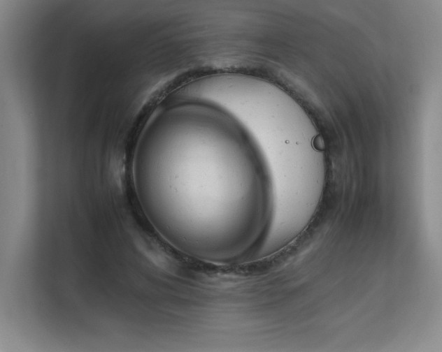 X0000111390592200907101148