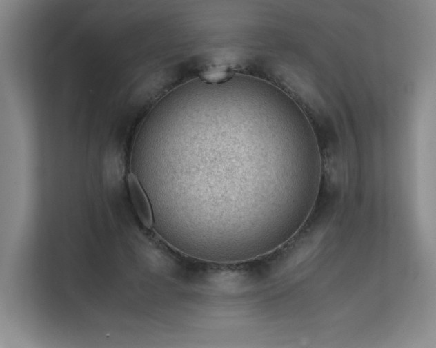 X0000111390593200907101148