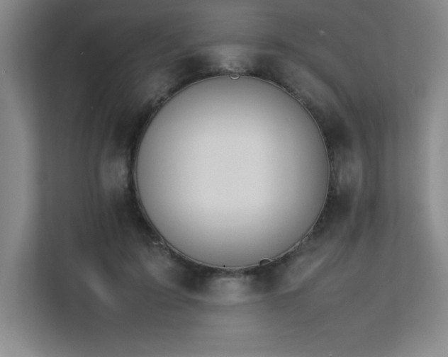 X0000111390595200907101148