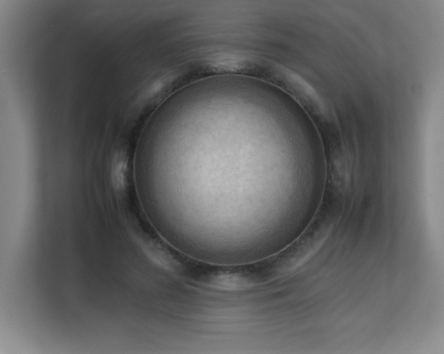 X0000111390596200907101148