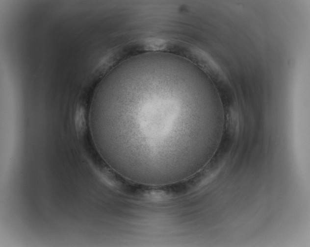 X0000111390598200907101148