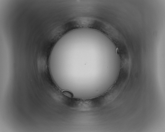 X0000111390599200907101148