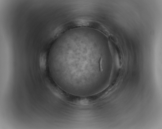 X0000111390600200907101148