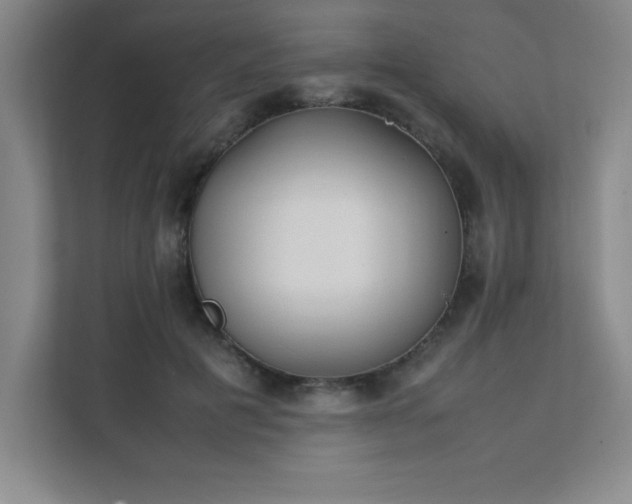 X0000111390601200907101148