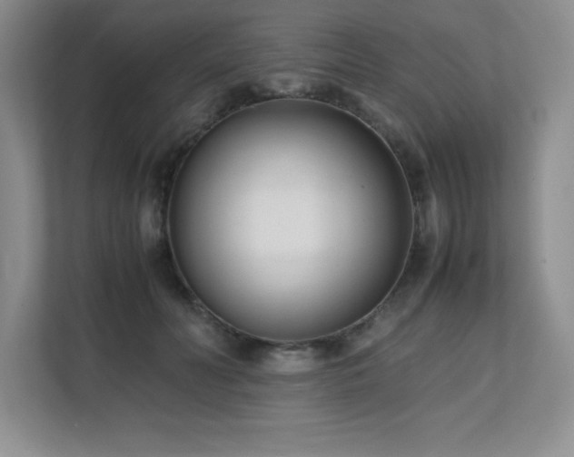 X0000111390606200907101148