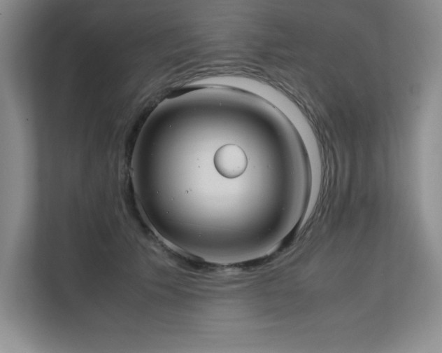 X0000111390609200907101148