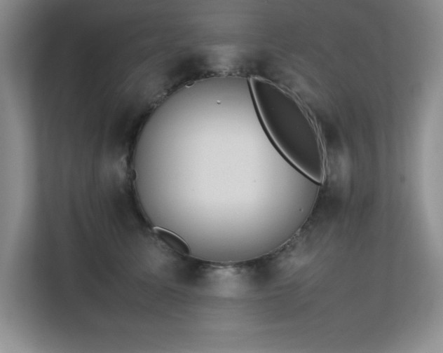 X0000111390611200907101148