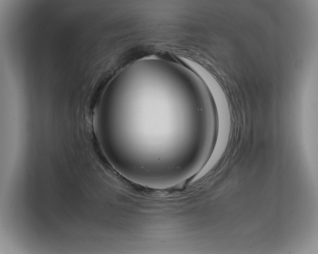 X0000111390613200907101148