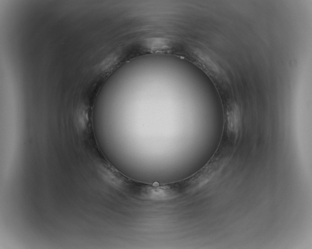 X0000111390618200907101148