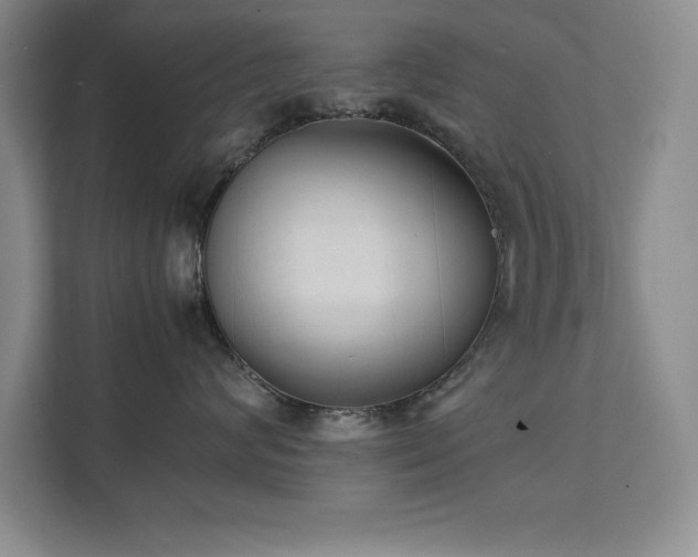 X0000111390624200907101148