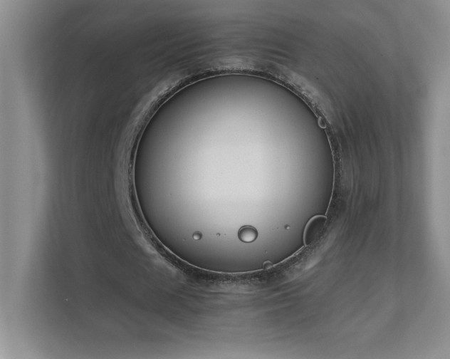 X0000111390625200907101147