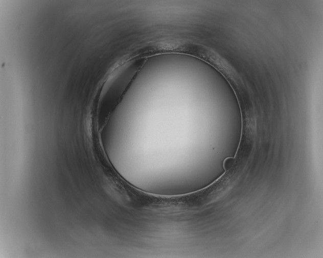 X0000111390626200907101147