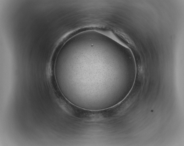 X0000111390628200907101147