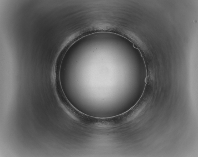 X0000111390630200907101147