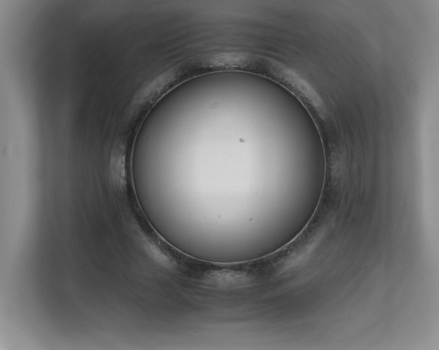 X0000111390633200907101147