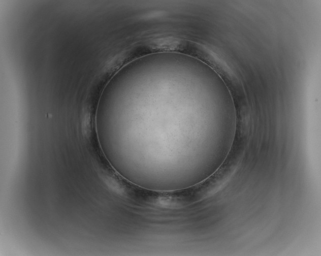 X0000111390641200907101147