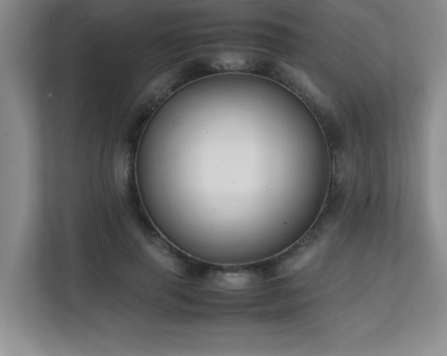 X0000111390645200907101147