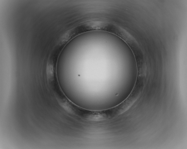 X0000111390646200907101147