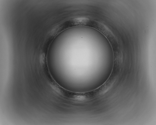 X0000111390649200907101147