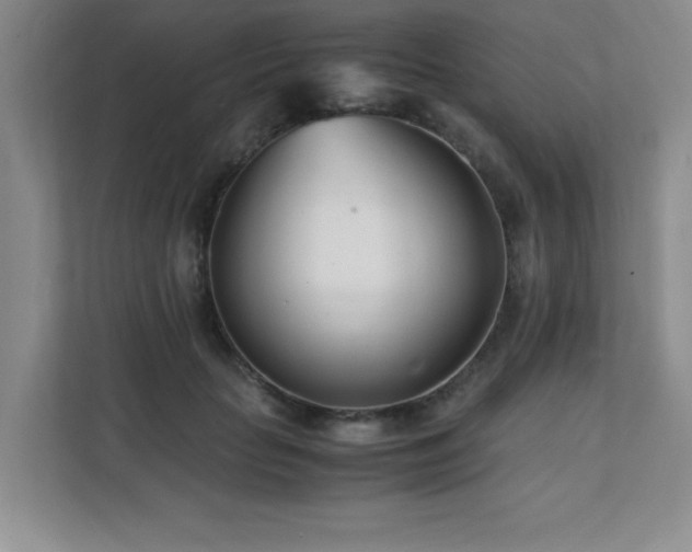 X0000111390653200907101147