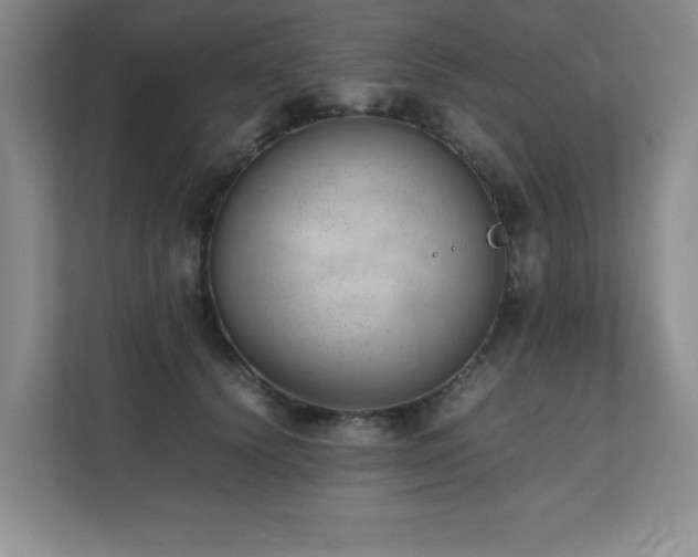 X0000111390656200907101147