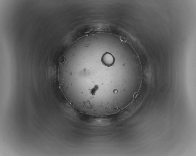 X0000111390657200907101147