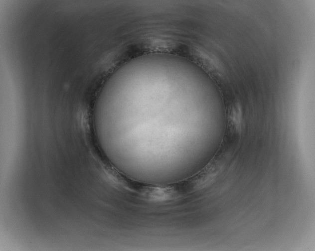 X0000111390663200907101148