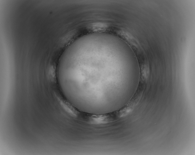 X0000111390667200907101148