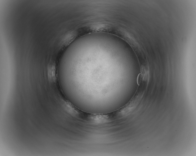 X0000111390670200907101148