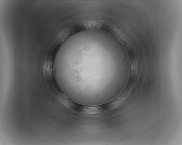 X0000111390671200907101148