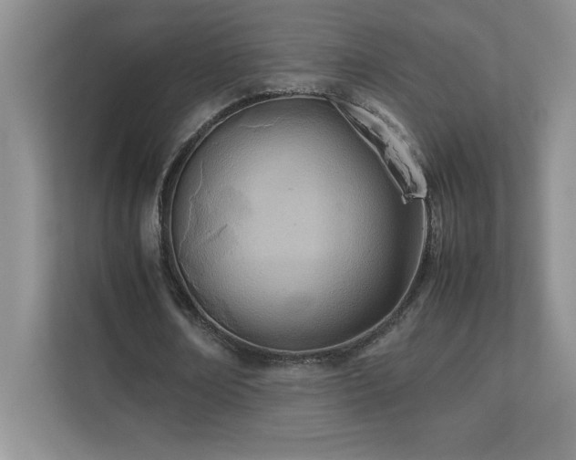 X0000111390674200907101147