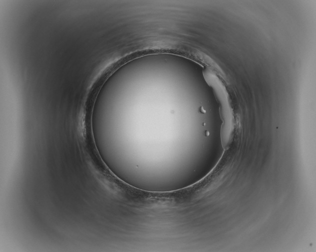 X0000111390676200907101147